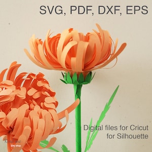 Chrysanthemum flower template for Cricut, svg, pdf, esp, dxf, instructions included, paper cut, 3D, leaves & stem included