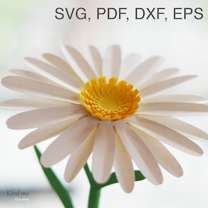 Gänseblümchen-Blumenvorlage für Cricut, SVG, PDF, ESP, Dxf, Anleitung inklusive, Papierschnitt, 3D