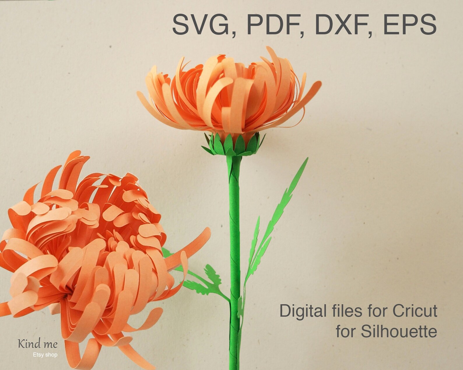 Chrysanthemum Flower Template for Cricut Svg Pdf Esp Dxf Etsy Australia