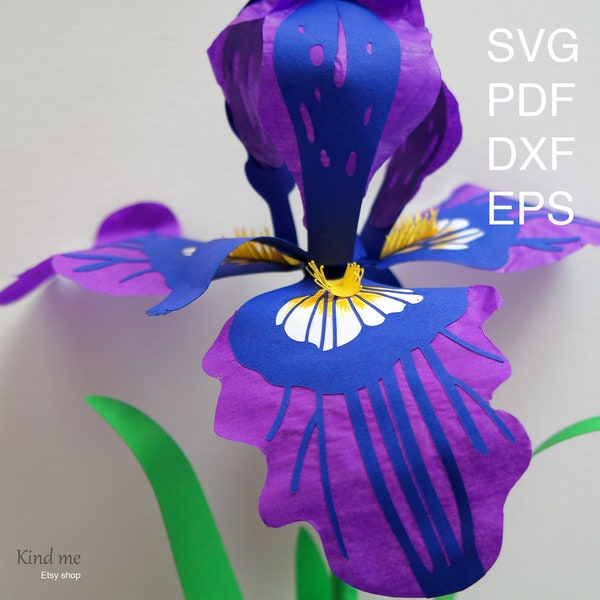 Iris flower template for Cricut, svg, pdf, esp, dxf, instructions included, paper cut, 3D