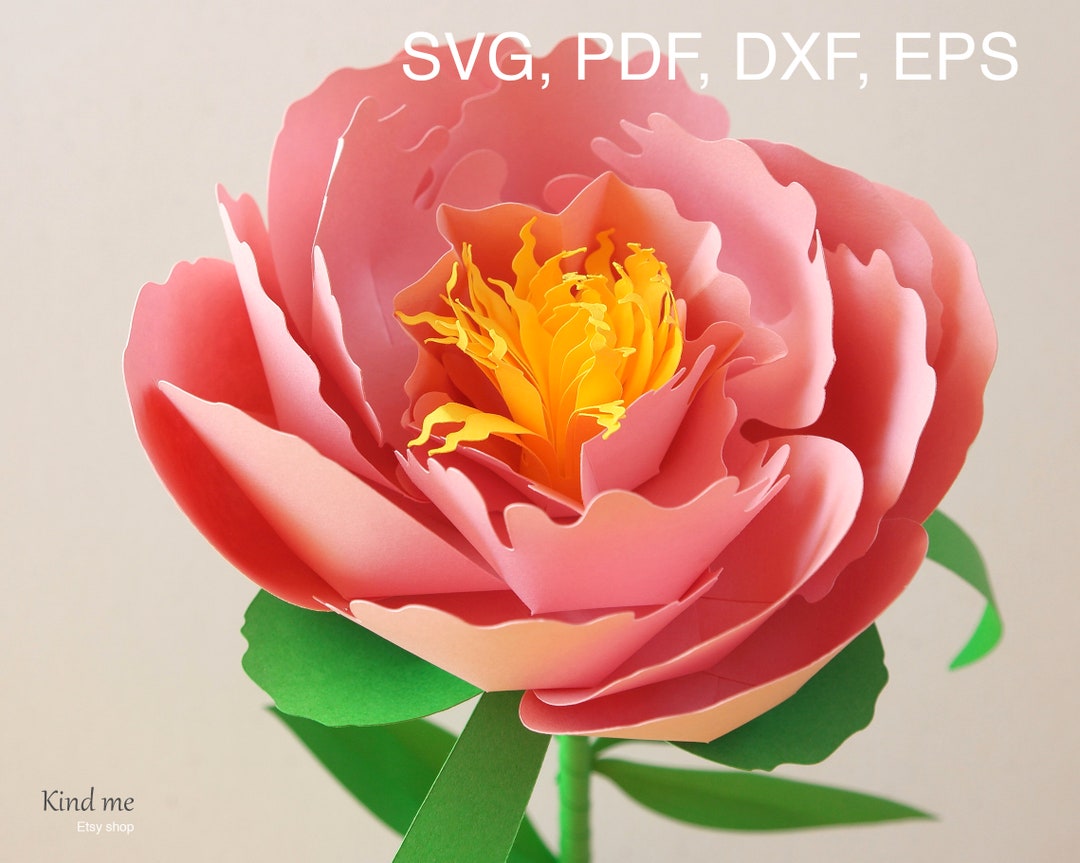 Peony Template for Cricut, Svg, Pdf, Esp, Dxf, Instructions Included