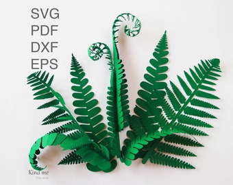 Fern leaf & fiddlehead templates for Cricut, svg, pdf, esp, dxf, woodland bouquet, paper cut, 3D