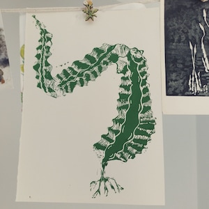 May include: A green seaweed linocut print on white paper. The print depicts a stylized, wavy seaweed form with intricate details. The artwork is displayed with other prints, clipped to a string with a decorative wooden clip.