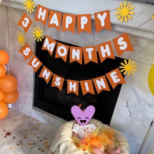Sun banner, first trip around the sun banner, little sunshine banner, sun birthday party supplies, little sunshine birthday banner,