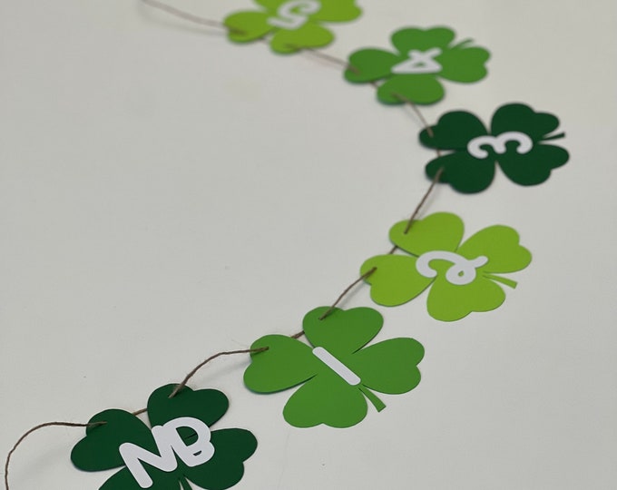 Clover photo banner, clover monthly photo banner, shamrock photo banner, shamrock monthly photo banner, st Patricks photo banner