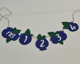 Blueberry First Year Photo Banner: Newborn to 12 Months