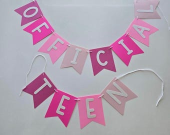 Pink Official Teenager Birthday Banner: Pre-Hung Party Decor