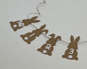 Bunny First Year Photo Banner: Monthly Milestone Garland