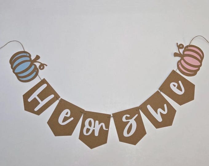 Gender reveal banner, fall gender reveal banner, pumpkin gender reveal banner, autumn banner, he or she gender reveal banner
