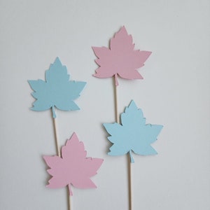 Fall Leaf Gender Reveal Cupcake Toppers: Pink & Blue, Set of 12
