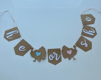 Thanksgiving Turkey Gender Reveal Banner: Pre-Hung Baby Shower Decor