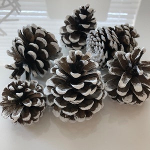 Pine cones, painted pine cones, flocked pine cones, dipped pine cones, pine cone ornaments, hanging pine cones, pine cones for crafting