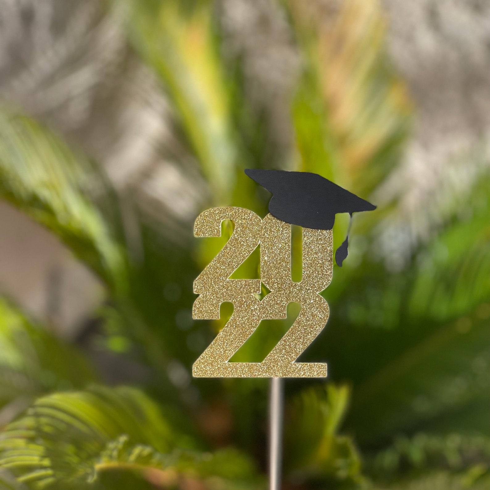 Graduation Cupcake Toppers Graduation Party Cupcake Toppers Etsy