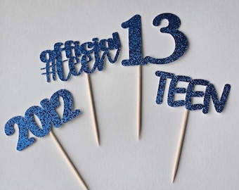13th Birthday Cupcake Toppers: Teen Party Decorations, Set of 12