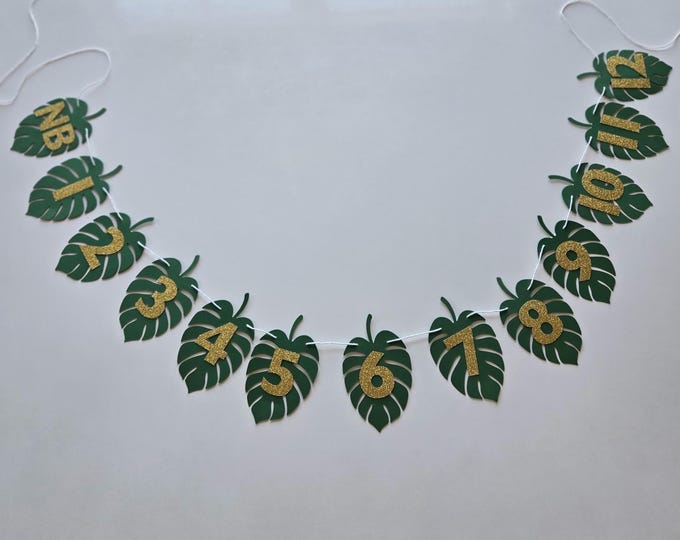 Wild One Monthly Photo Banner: Tropical Leaf, NB-12 Months