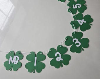 Shamrock Photo Banner: St Patricks Day Monthly Milestone