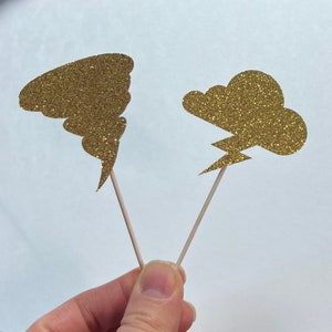 Weather Cupcake Toppers: Storm Chaser Party Decor (Set of 12)