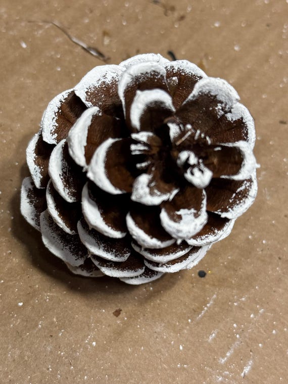 Hand-painted Flocked Pinecones: Rustic Christmas Ornaments - Etsy