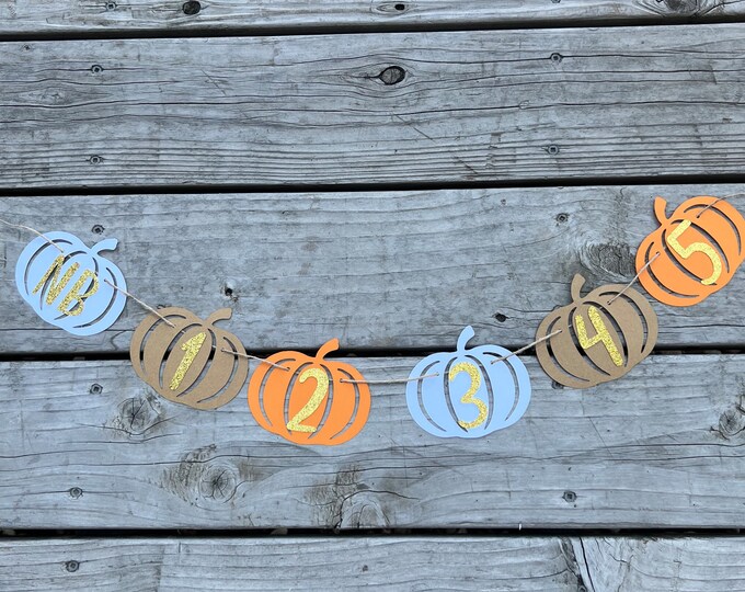 Pumpkin monthly photo banner, fall photo banner, fall monthly photo banner, pumpkin banner, autumn monthly banner,