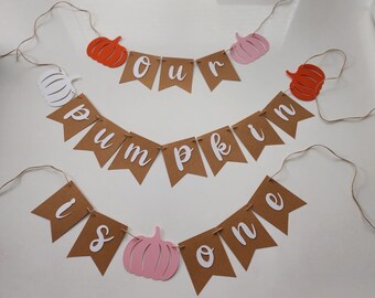 Fall Pumpkin First Birthday Banner: Pre-Hung Party Decor