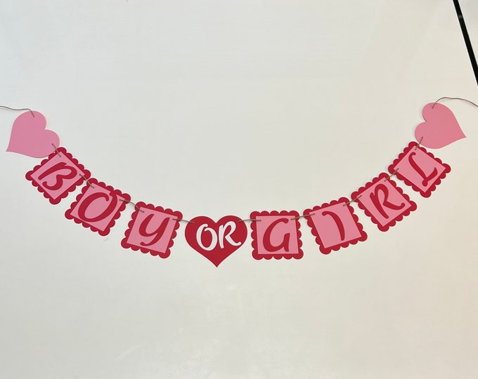 Gender reveal banner, valentines gender reveal banner, valentines banner, pink or blue banner, boy or girl banner, he or she banner