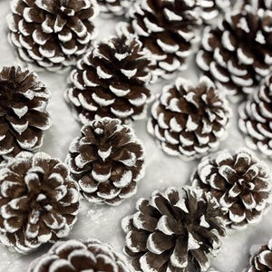 May include: A collection of brown pine cones with white paint accents. The cones are arranged on a white surface.