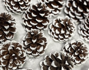 Pinecones, painted pinecones , flocked pinecones, dipped pinecones, pinecone ornaments, hanging pinecones, pinecones for crafting