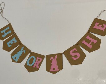 May include: A brown paper banner with the words "He or She" in pink and blue letters. The banner is decorated with two bunny silhouettes, one blue and one pink.