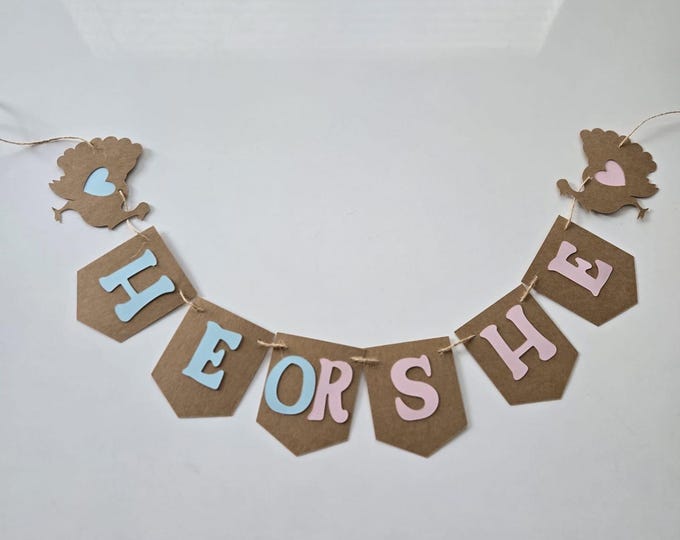 Thanksgiving Gender reveal banner, Thanksgiving baby banner, turkey gender reveal banner, little turkey banner, Gender reveal banner