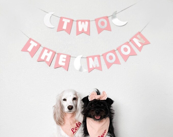 Space banner, Moon banner, two the moon banner, moon birthday banner, space birthday banner, space birthday party banner, outer space party