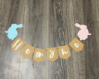 Banner de revelación de género de conejito: Decoración de Pascua hecha a mano
