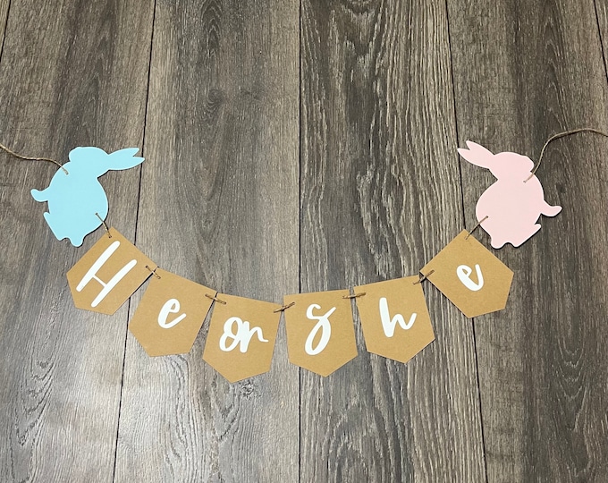 Gender reveal banner, Easter gender reveal banner, bunny gender reveal banner, little bunny banner, little bunny gender reveal banner, bunny