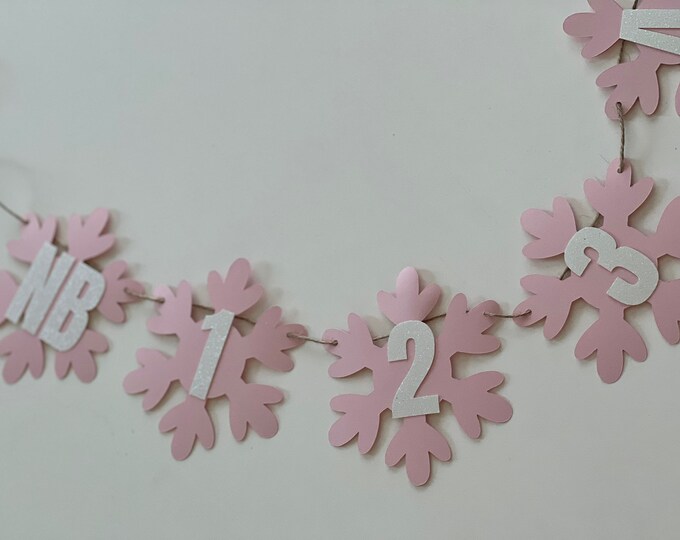 Snowflake photo banner, winter monthly photo banner, Christmas monthly photo banner, Christmas birthday banner, winter birthday banner