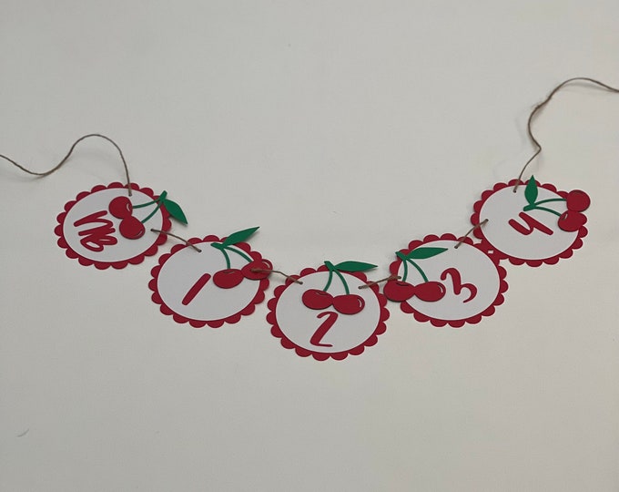 Cherry monthly photo banner, cherry photo banner, Cherry monthly photo banner, cherry banner, monthly banner,nb-12months