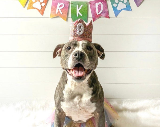 Watercolor banner, Colorful banner, rainbow banner, rainbow birthday banner, dog birthday banner, happy barkday banner