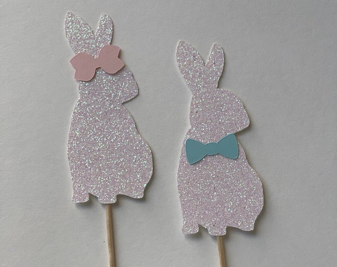 Easter gender reveal cupcake toppers, Bunny gender reveal cupcake toppers, rabbit gender reveal cupcake toppers, little bunny gender reveal