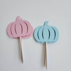 Pumpkin gender reveal cupcake toppers, fall gender reveal cupcake toppers, boy or girl cupcake toppers, Set of 12