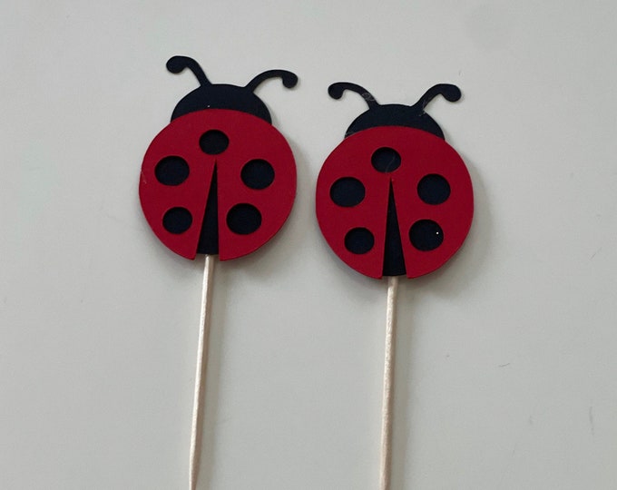 lady bug cake toppers, Bug cake topper, Lady bug toppers, lady bug party decorations, lady bug confetti, lady bug dye cut, lady bug birthday