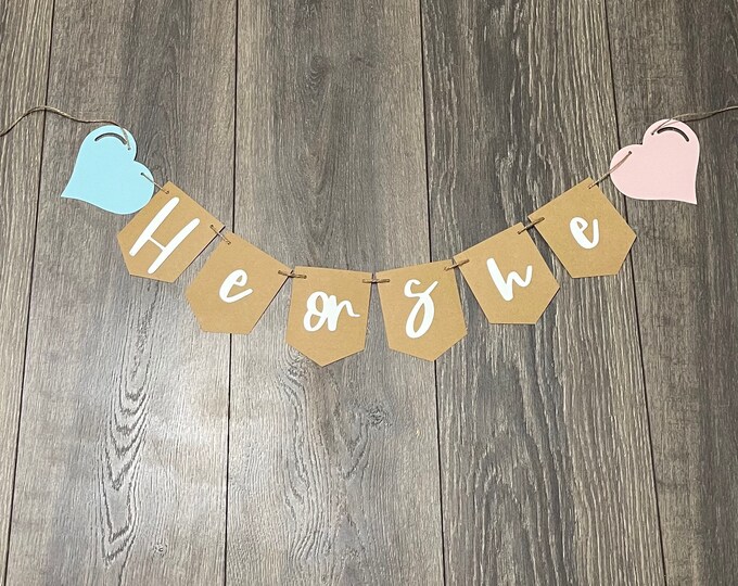 Gender reveal banner, valentines gender reveal banner, valentines banner, pink or blue banner, boy or girl banner, he or she banner