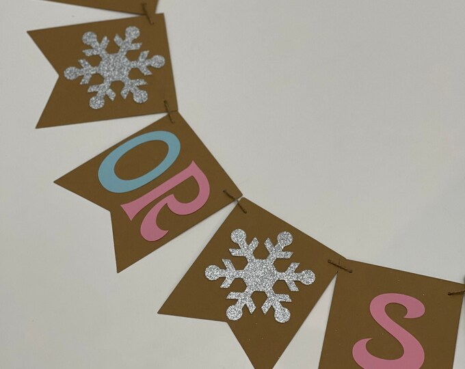 Gender reveal banner, snowflake banner, snowflake gender reveal banner, winter gender reveal banner, winter banner, winter Nederland banner