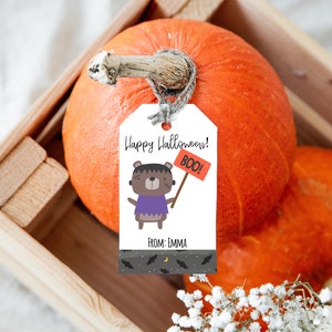 May include: A white gift tag featuring a cartoon bear in a purple costume holding a sign that reads "BOO!" The tag says "Happy Halloween!" and "From: Emma". The tag is attached to a large orange pumpkin.