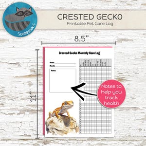 Crested Gecko