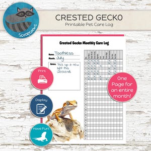 Crested Gecko