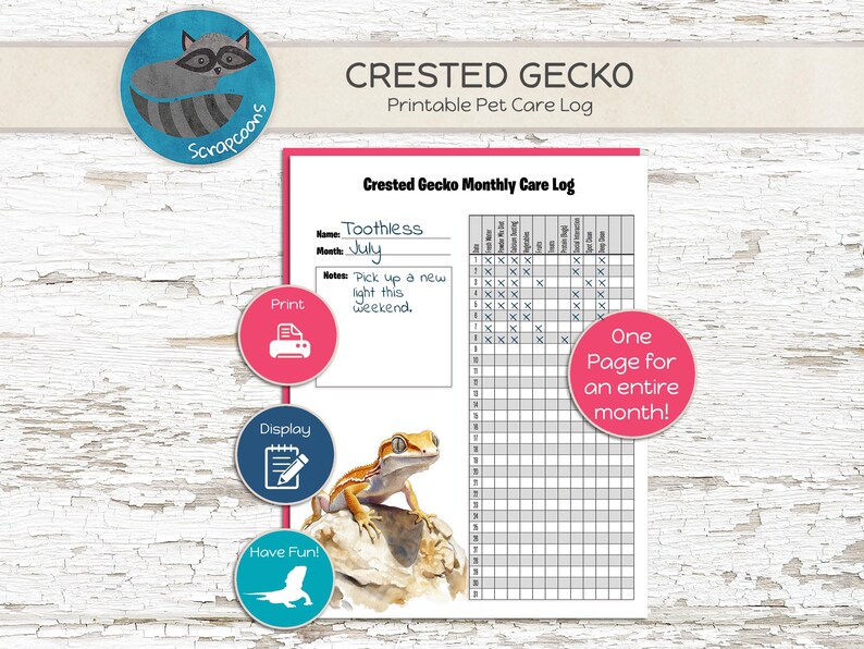 Crested Gecko