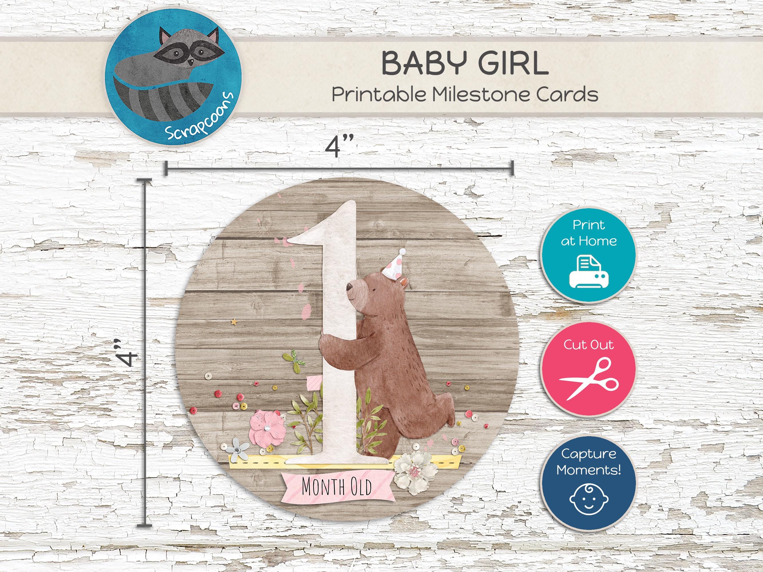 Printable Baby Monthly Milestone Cards Girl Pink Forest Animals Photo ...