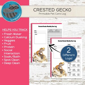 Crested Gecko
