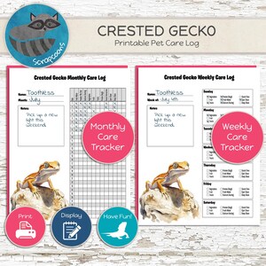 Crested Gecko