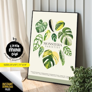 May include: A botanical illustration of Monstera varieties, featuring 11 different leaves with names and numbers. The leaves are depicted in shades of green, white, and yellow against a light green background. The title "Monstera Varieties" is displayed in black text.