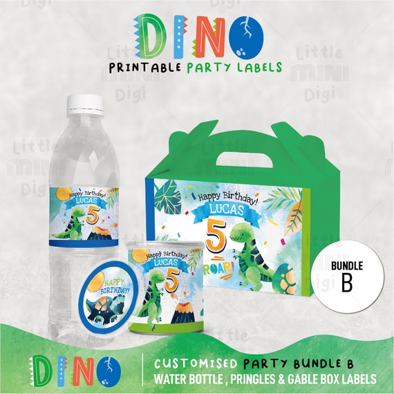 Blue Dino Bottle Bundle
