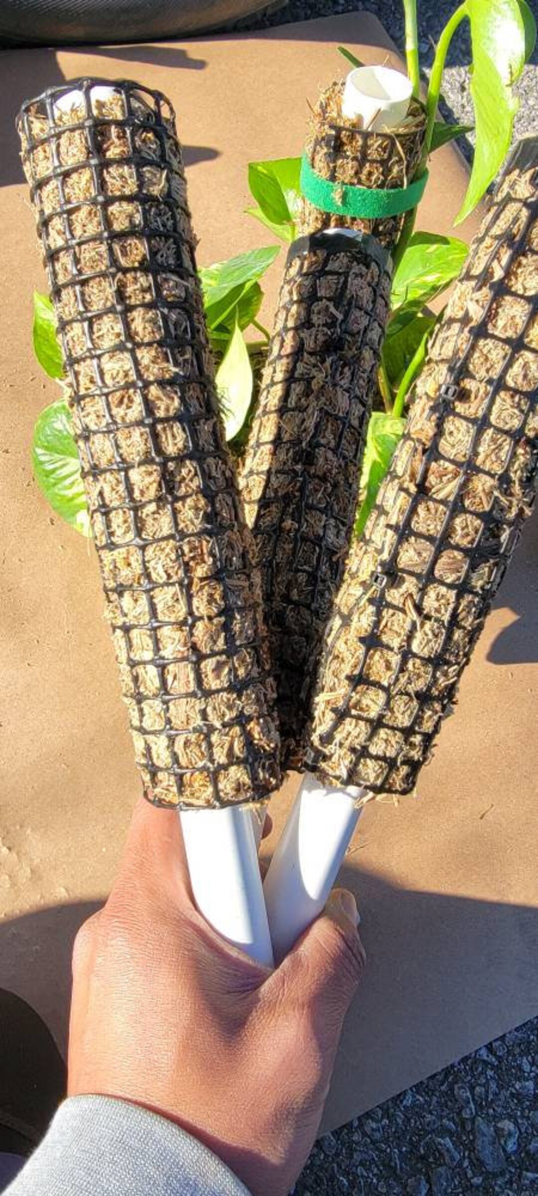 Stackable Moss Pole Etsy